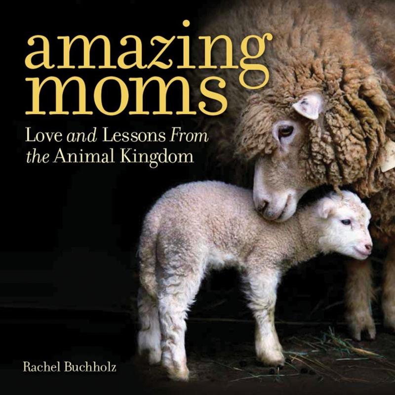 Amazing Moms Book
