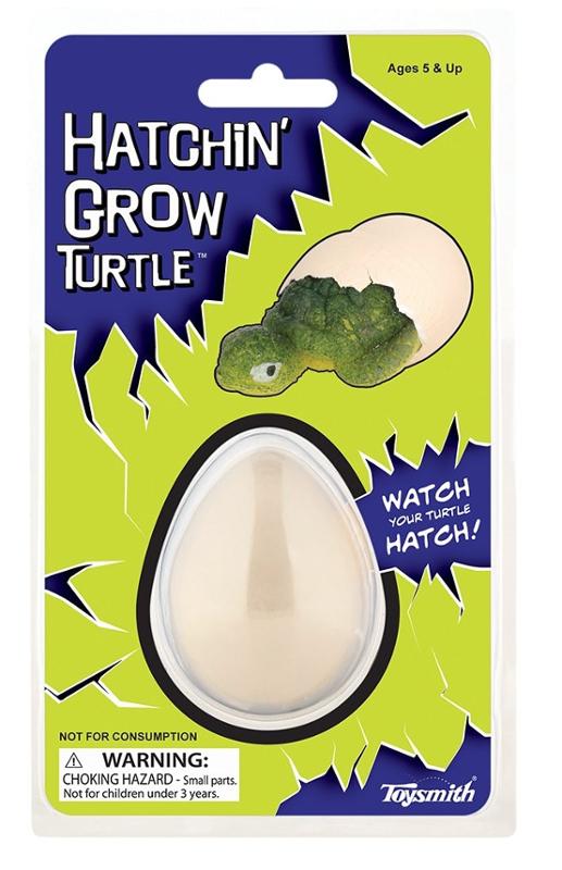 Hatchin Grow Turtle 